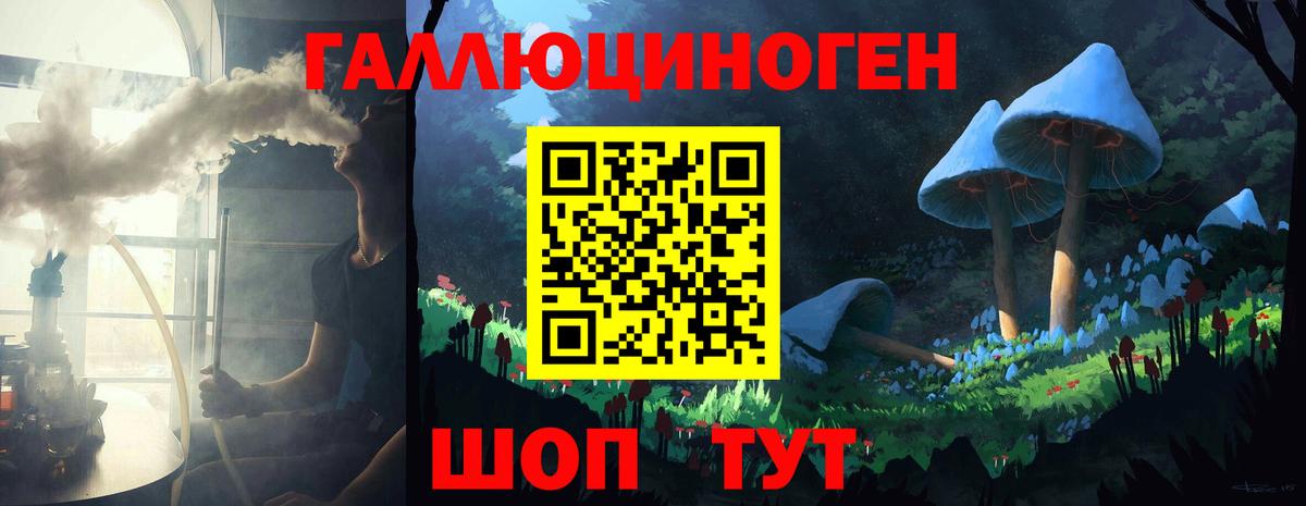 Псилоцибиновые грибы мицелий Корсаков